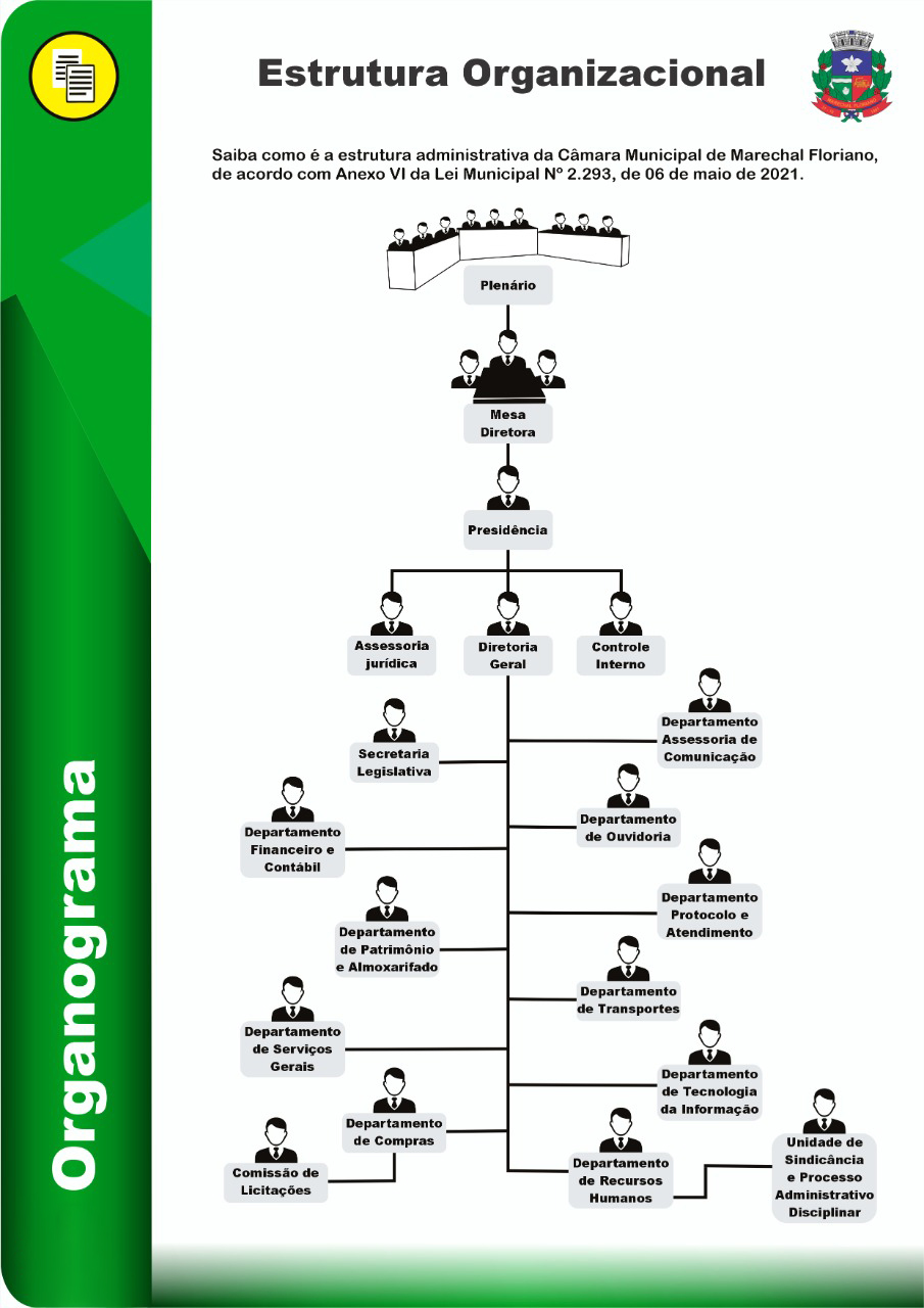 Organograma da CMMF