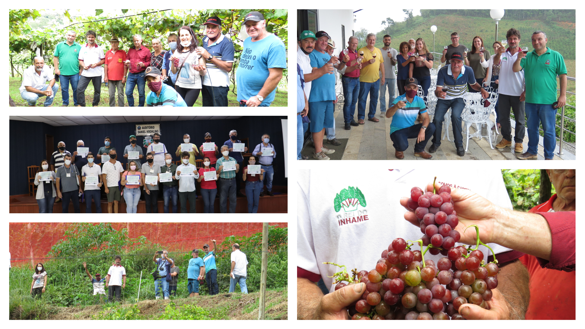 Semana da Uva surpreende produtores de Viticultura no Município