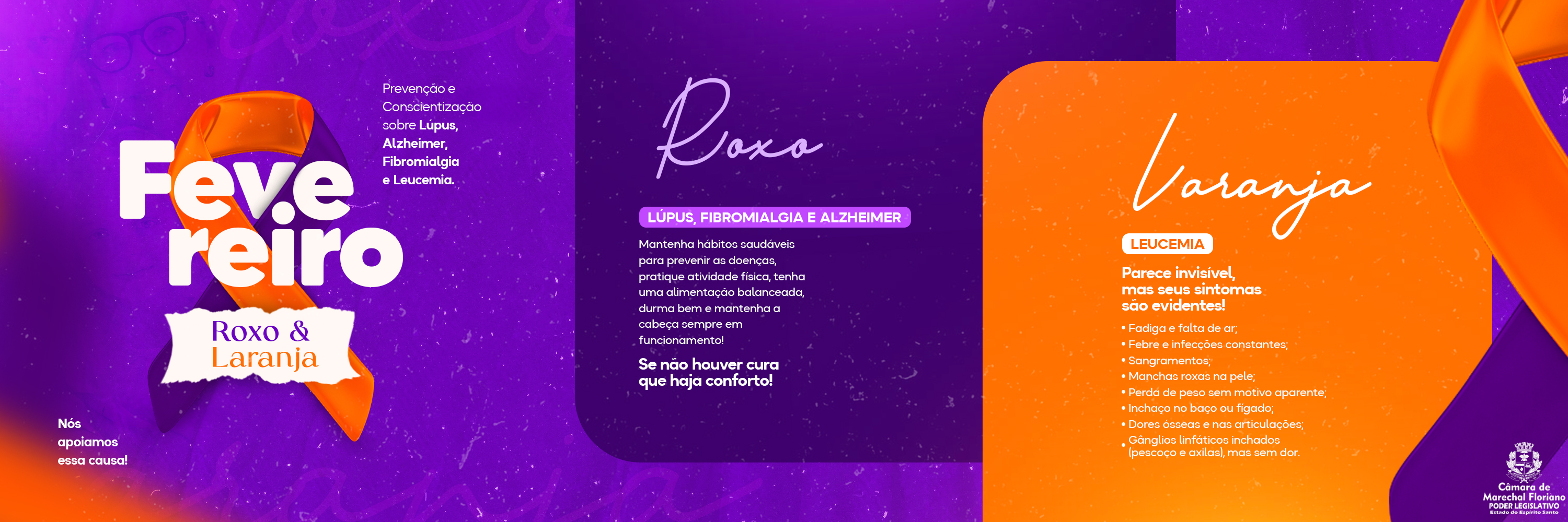 FEVEREIRO ROXO E LARANJA DESTACA PREVENÇÃO DE DOENÇAS CRÔNICAS